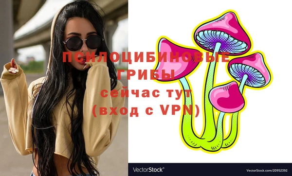 spice Балабаново