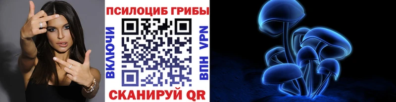 Псилоцибиновые грибы мицелий  Бронницы 